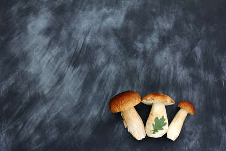 three white mushroom boletus on chalkboard top view / gourmet offerの写真素材
