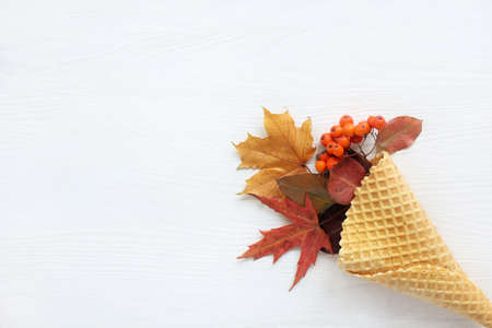 waffle horn with berries of mountain ash, maple and fruit leaves on a light wooden surface / idea of autumn dessertの写真素材