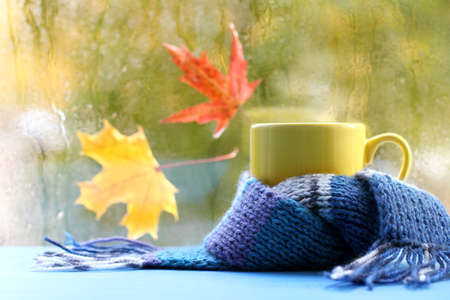 yellow mug in a blue scarf on the background of a wet window with maple leaves/ warming autumn atmosphereの写真素材
