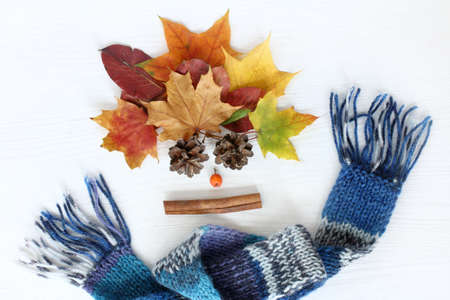bouquet of leaves bumps and cinnamon with rowan in a warm blue scarf / bright autumn holidaysの写真素材