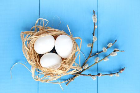 Three chicken eggs in retinue nest and willow wand on blue wooden background top view / Easter...