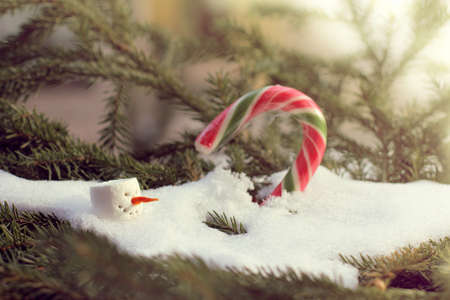 head of snowman with carrot nose in melting snowdrift against a background of blurred outlines of candy staff and fir branches / cheerful solar spring warmingの写真素材