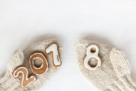 warm mittens knitted from yarns with cookies in the shape of numbers / Winter Weekend 2018の写真素材