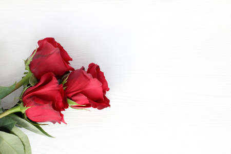 Three of gentle red roses on a light wooden surface / bouquet for the holidayの写真素材