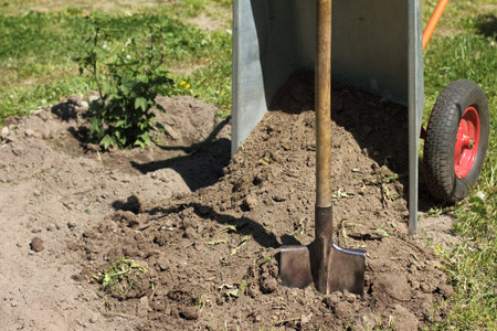 shovel with a pile of land piled out of the wheelbarrow in the garden / preparing the site for plantingの写真素材