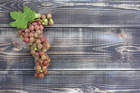 bunch of grapes with leaves on dark wooden table top view and place for inscription / harvest of appetizing berriesの写真素材