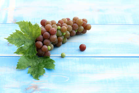 bright bunch of grapes with leaves on a blue table / taste of autumnの写真素材