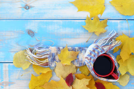 red mug with drink wrapped in warm scarf on table with yellow leaves top view / autumn coffee breakの写真素材