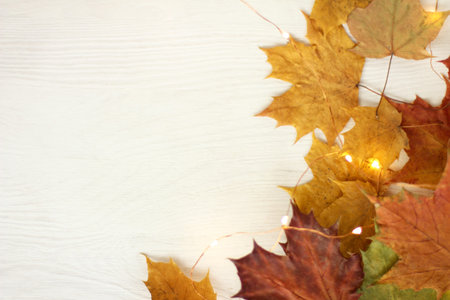 maple leaves in lights of a garland on a light wooden surface / golden autumn