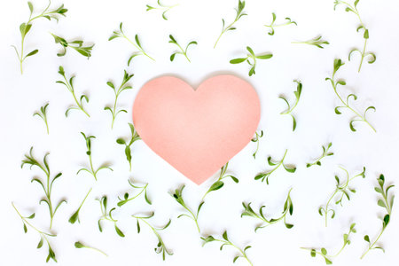 heart symbol on the background of lavender petals top view on a light surface / fragrant postcard for loversの写真素材