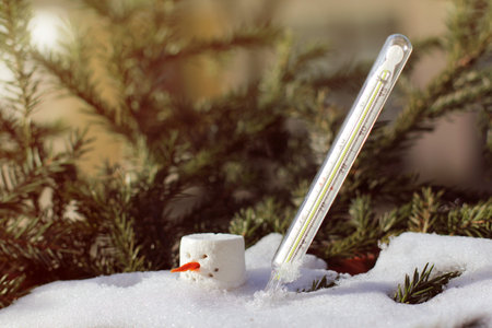 thermometer in a thawed snowdrift next to the snowman head on the background of the trees on a sunny...