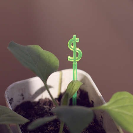 green sign denoting money grows from a pot with saplings of other plants. profit in the currency basketの写真素材