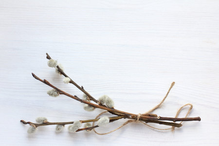 sprig of verbal tree tied with a rope on a light wooden surface top view. decorative background for...