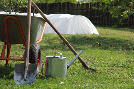 garden accessories in the garden on the background of the greenhouse. important assistant gardenerの写真素材