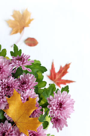 maple leaves and pink chrysanthemum flowers. autumn bouquetの写真素材