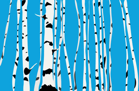 many trunks of birch trees against a turquoise sky. spring groveのイラスト素材