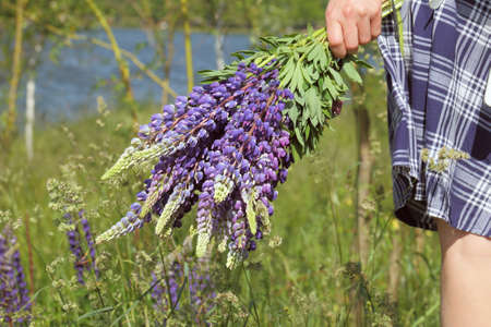 bouquet of wildflowers in hand on a background of a park with a river. spring walk in natureの写真素材