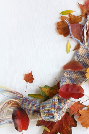 warm scarf and autumn leaves on a white table top view. seasonal installation with place for...