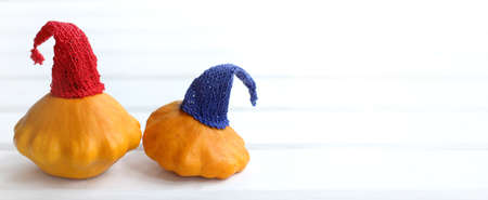 orange vegetables in knitted hats on a light long table. autumn harvest festivalの写真素材