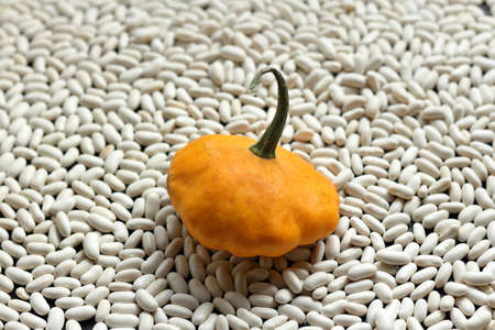 orange zucchini fruit on a background of white beans. one is not like everyone elseの写真素材
