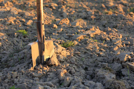 An old shovel stands against a plowed field. heavy manual workの写真素材
