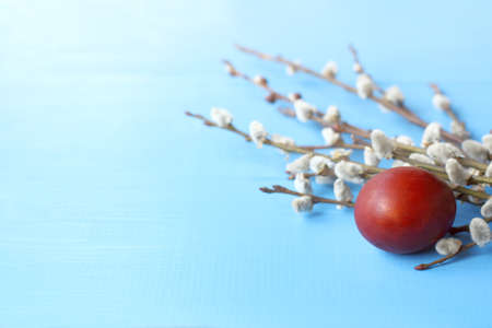 red egg and pussy-willow twigs on a blue table. easter still lifeの写真素材