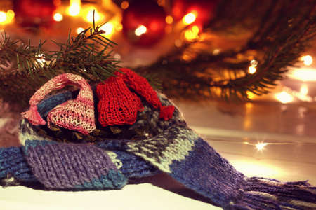 two pine cones in knitted caps wrapped in a scarf against the background of festive lights and luminescence on the tree. warming Christmas atmosphere togetherの写真素材