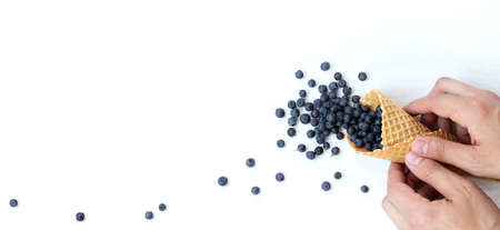 blueberry fruit poured out of a waffle cone onto a light surface, top view. summer wild berriesの写真素材