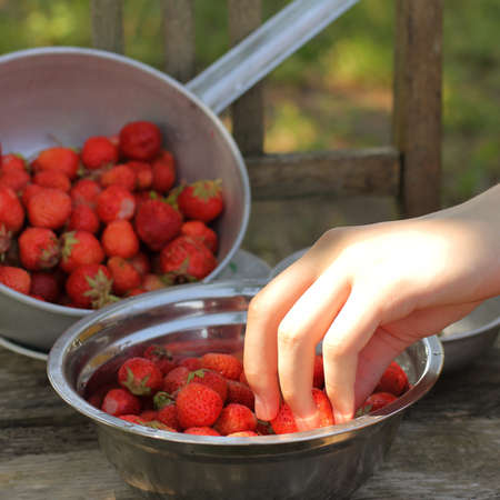hand with a plate of strawberries illuminated by a ray of summer sun. test of the first harvestの写真素材