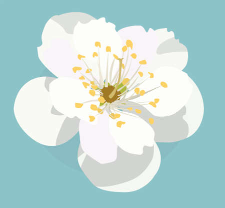 vector fruit tree flower close-up. blooming spring symbolのイラスト素材