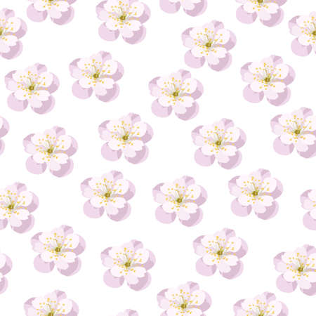 seamless pattern vector cherry flowers on white background. spring blossom fragranceのイラスト素材