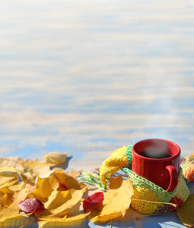 red mug in multicolored knitted scarf on a table with autumn leaves. warming autumn coffeeの写真素材