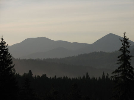 made somewhere in Carpatian Mountains, Ukraine at sunrise