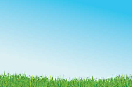green grass and blue sky vector backgroundのイラスト素材