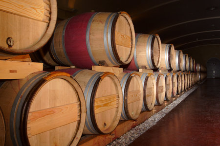 group of oak barrels with the wine at the cellarの写真素材