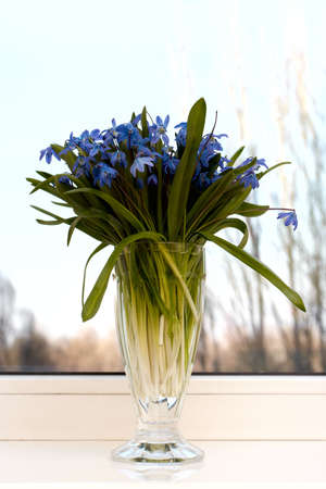 vase with spring flowers on a window-sillの写真素材
