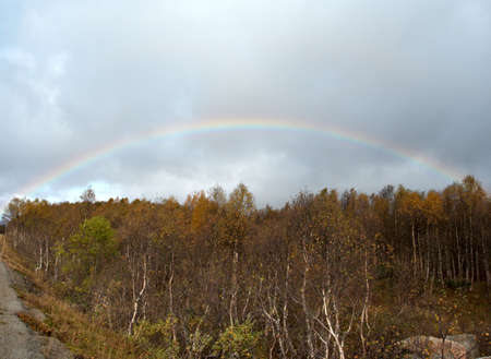 rainbow above deciduous forest, norway
の写真素材