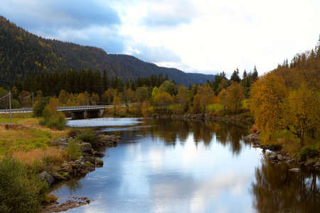 autumn in the norway - river and  wood at the norwegian mountains の写真素材