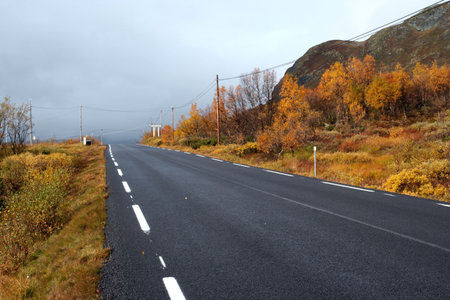 autumn road at the norwegian mountains
