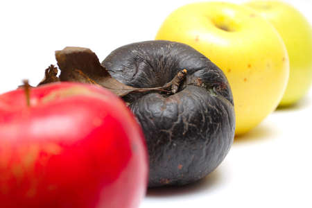 rotten apple at the row of fresh apples isolated on a white. の写真素材