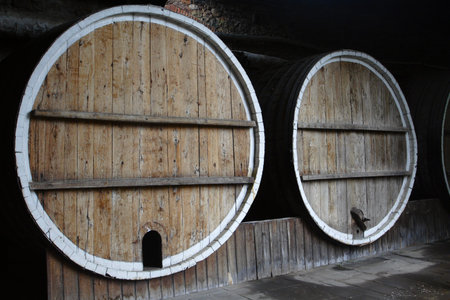 group of oak barrels with the wine at the cellar