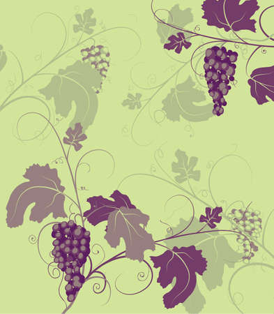 grapevine background with bunches and leavesのイラスト素材