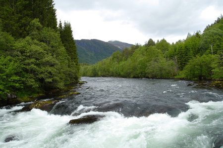 water of mountain river at the overcast day at  norway