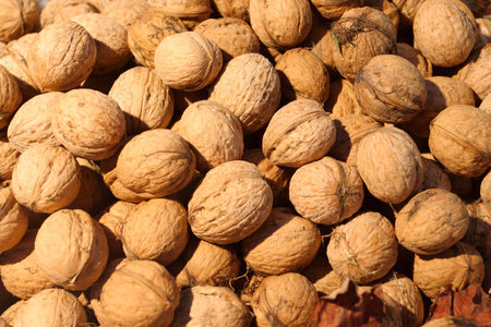 background of a lot of walnuts illuminated by the sun