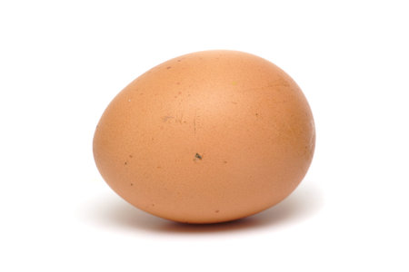 egg isolated on a white background