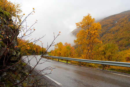 autumn road at the norwegian mountains at the foggy weather.の写真素材