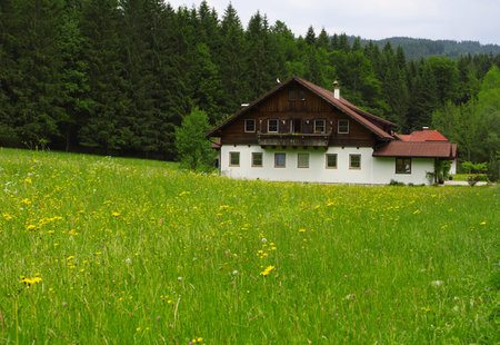 old farm house on a green meadow on alpine hills