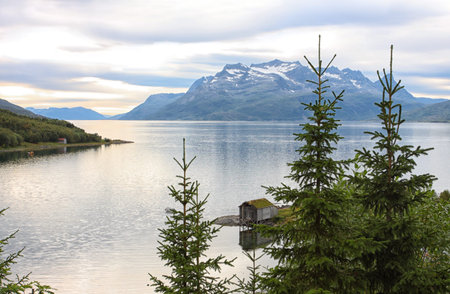 view of the norwegian mountains