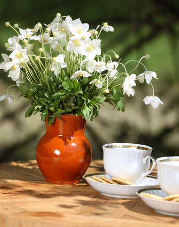  beautiful anemone bouquet and tea-drinking at the garden
の写真素材