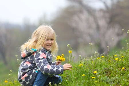 young blonde girl with bunch of dandelions on a green lawn
の写真素材